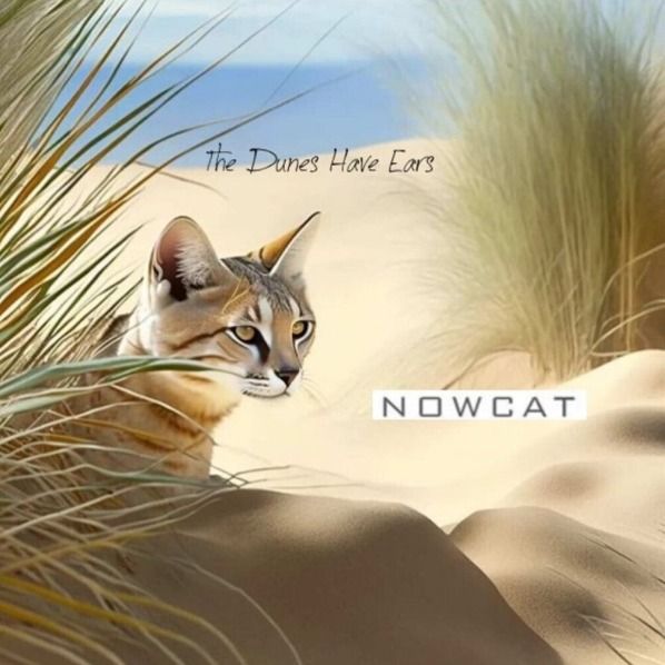 The Dunes Have Ears cover art: a cat in the dune grass by the ocean